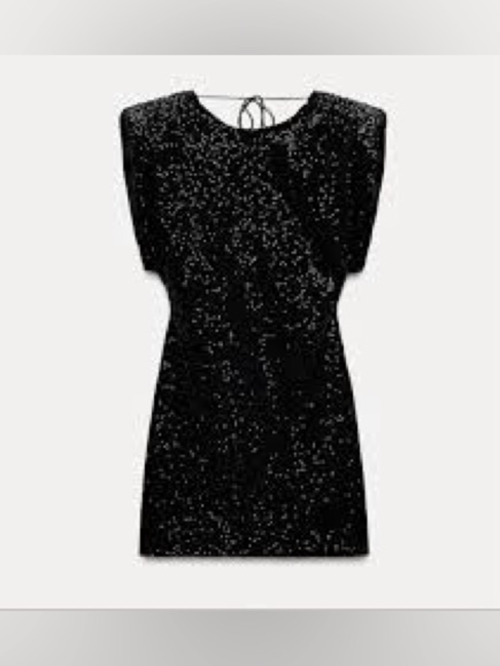 Zara glitter dress